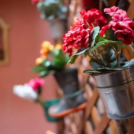Valentina'S Home-2